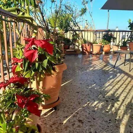 Centre Oasis Apartment *