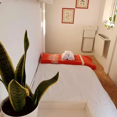Centre Oasis Apartment